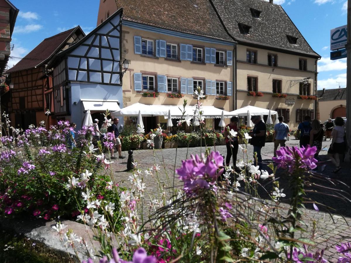 Gites Au Chateau Fleuri Eguisheim Exterior photo