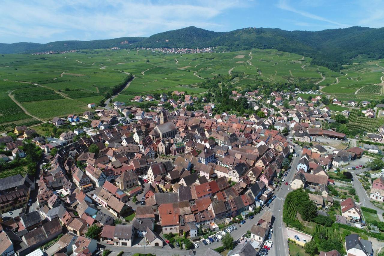 Gites Au Chateau Fleuri Eguisheim Room photo